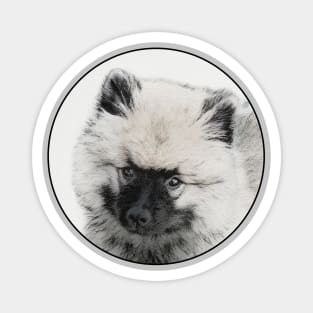 Keeshond Puppy (Drawing) Magnet